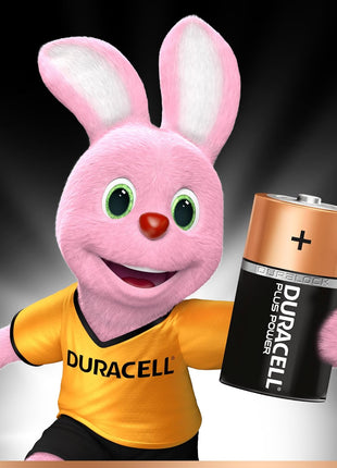 Duracell D Batteries (2 Pack) | Long-Lasting Alkaline