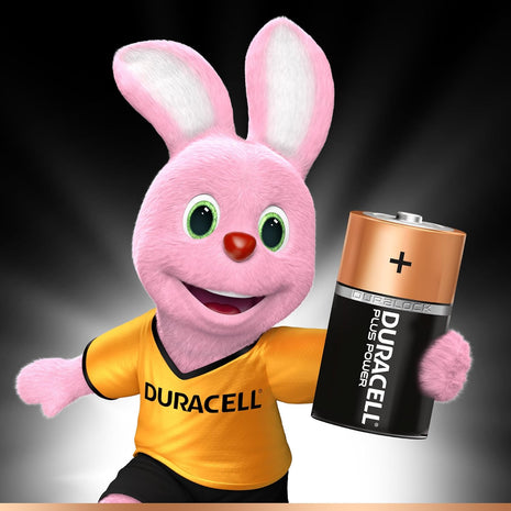 Duracell D Batteries (2 Pack) | Long-Lasting Alkaline